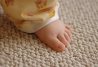 Sofa & Carpet Cleaning in Plymouth, Exeter Devon Sofa & Carpet Cleaning in Plymouth, Exeter Devon
