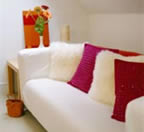 sofa cleaning