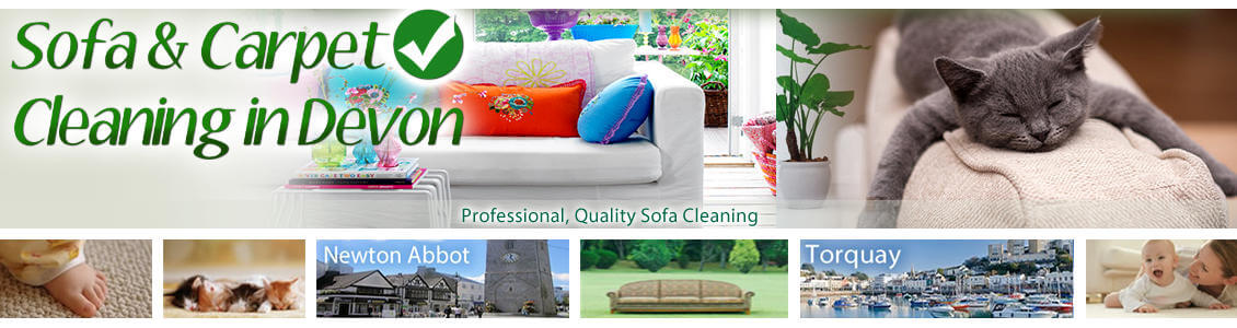 Upholstery & Carpet Cleaning